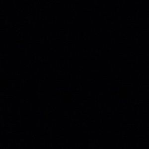 Meet your Posher, Gisela